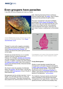 Even Groupers Have Parasites 1 July 2020, by Amira Chaabane and Jean-Lou Justine