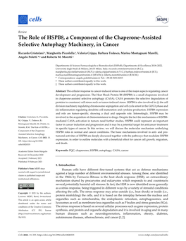 The Role of HSPB8, a Component of the Chaperone-Assisted Selective Autophagy Machinery, in Cancer