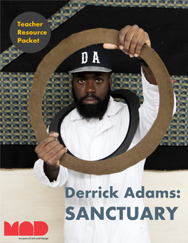 Derrick Adams: Sanctuary