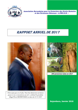 Rapport Annuel De 2017
