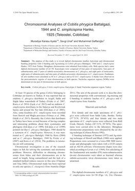 Chromosomal Analyses of Cobitis Phrygica Battalgazi, 1944 and C