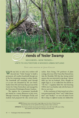 Riends of Yesler Swamp F Neighbors—Now Friends— Unite to Help Restore a Wooded Urban Wetland
