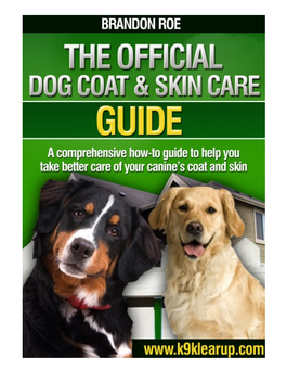 How to Treat Dog Skin Rashes… Page 21