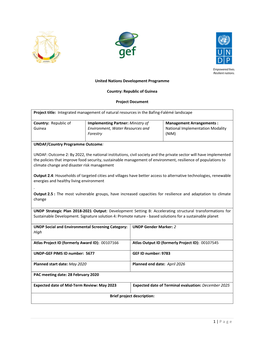 Republic of Guinea Project Document Project Title
