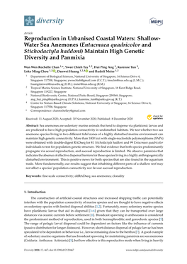 Water Sea Anemones (Entacmaea Quadricolor and Stichodactyla Haddoni) Maintain High Genetic Diversity and Panmixia