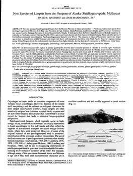 New Species of Limpets from the Neogene of Alaska