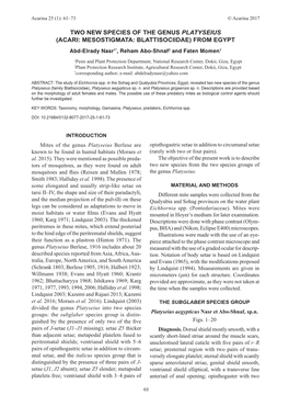 TWO NEW SPECIES of the GENUS PLATYSEIUS (ACARI: MESOSTIGMATA: BLATTISOCIIDAE) from EGYPT Abd-Elrady Nasr1*, Reham Abo-Shnaf2 and Faten Momen1