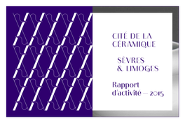 Rapport-D-Activite-2015-Sevres.Pdf