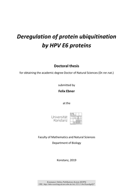 Deregulation of Protein Ubiquitination by HPV E6 Proteins