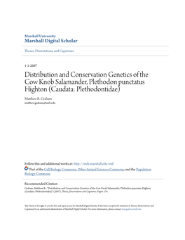 Distribution and Conservation Genetics of the Cow Knob Salamander, Plethodon Punctatus Highton (Caudata: Plethodontidae) Matthew R