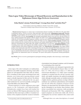 Time-Lapse Video Microscopy of Wound Recovery and Reproduction in the Siphonous Green Alga Derbesia Tenuissima