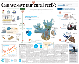 Volunteer Diver Audits Coral Reefs 76.6%