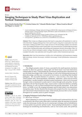 Imaging Techniques to Study Plant Virus Replication and Vertical Transmission