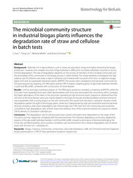 The Microbial Community Structure in Industrial Biogas Plants