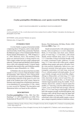 Corybas Geminigibbus (Orchidaceae), a New Species Record for Thailand