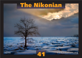 The Nikonian 41