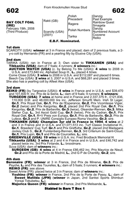 From Knockmullen House Stud Polish Precedent Danzig Past Example Rakti