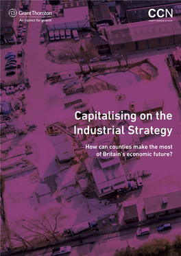 Capitalising on the Industrial Strategy