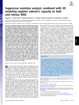 Suppressor Mutation Analysis Combined with 3D Modeling Explains Cohesin’S Capacity to Hold and Release DNA