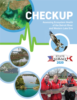 Assessing Ecosystem Health of the Detroit River and Western Lake Erie