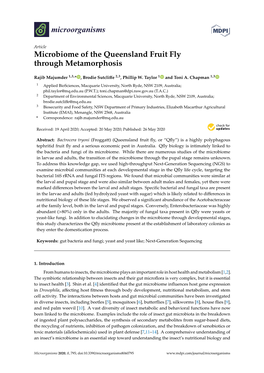 Microbiome of the Queensland Fruit Fly Through Metamorphosis