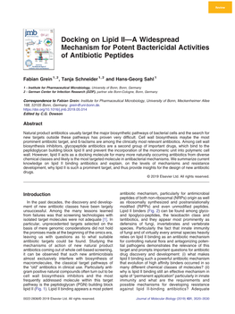 Docking on Lipid II—A Widespread Mechanism for Potent Bactericidal Activities of Antibiotic Peptides