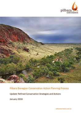 Pilbara Conservation Action Planning Process: Updated Strategies and Actions