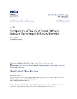 Comparisons of Five DNA Repair Pathways Between Elasmobranch Fishes and Humans Lucia Llorente Ll1285@Mynsu.Nova.Edu