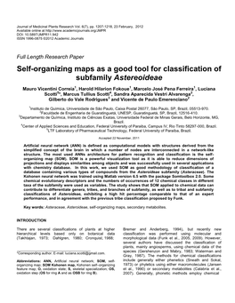 Self-Organizing Maps As a Good Tool for Classification of Subfamily Astereoideae