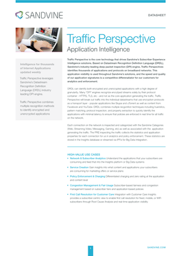 Traffic Perspective Application Intelligence