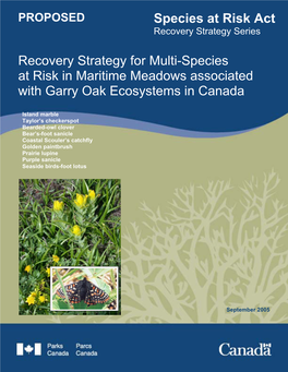 Recovery Strategy for Multi-Species at Risk in Maritime Meadows Associated with Garry Oak Ecosystems in Canada