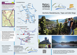 Wanderflyer TI-Cochem