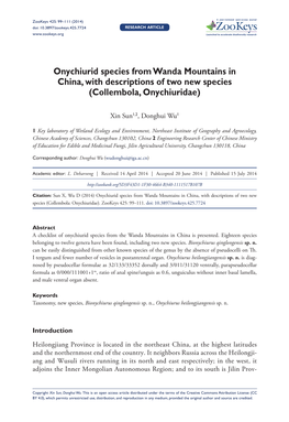 ﻿Onychiurid Species from Wanda Mountains in China, With