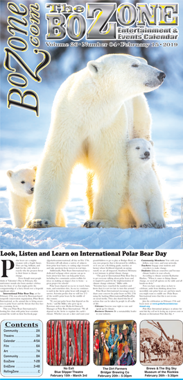 Plook, Listen and Learn on International Polar Bear