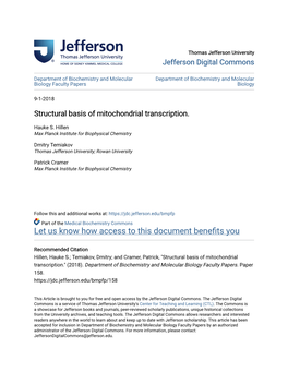 Structural Basis of Mitochondrial Transcription