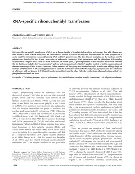 RNA-Specific Ribonucleotidyl Transferases