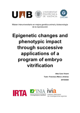 Epigenetic Changes and Phenotypic Impact Through Successive Applications of a Program of Embryo Vitrification