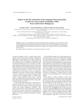 Report on the Life Colouration of the Enigmatic Burrowing Skink Voeltzkowia Rubrocaudata (Grandidier, 1869) from Southwestern Madagascar