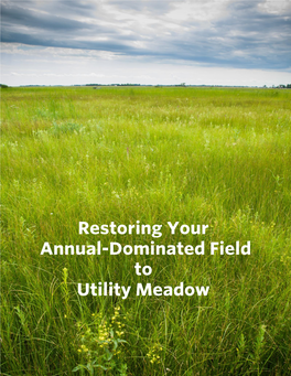 Annual-Dominated Field to Utility Meadow