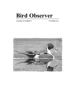 Bird Observer