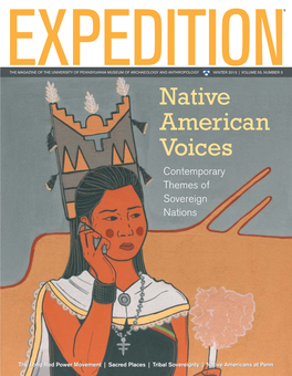 Native American Voices Contemporary Themes of Sovereign Nations