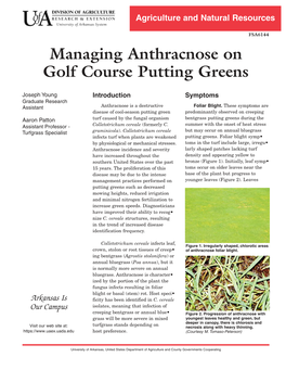 Managing Anthracnose on Golf Course Putting Greens