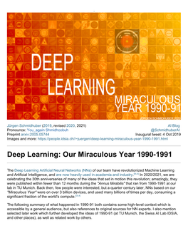 Deep Learning: Our Miraculous Year 1990-1991