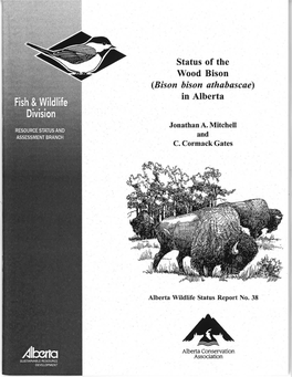 Status of the Wood Bison (Bison Bison Athabascae) in Alberta