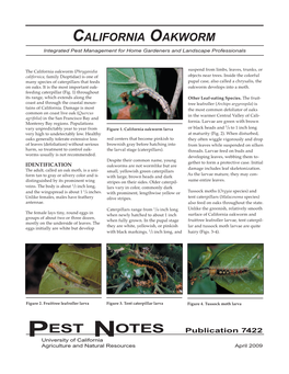 CALIFORNIA OAKWORM Integrated Pest Management for Home Gardeners and Landscape Professionals