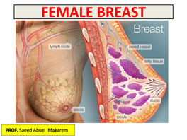 Female Breast