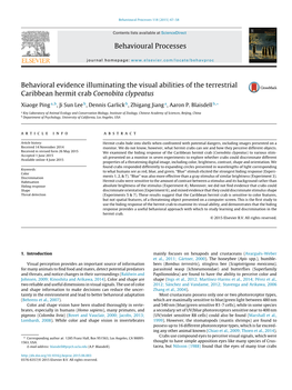 Behavioral Evidence Illuminating the Visual Abilities of the Terrestrial