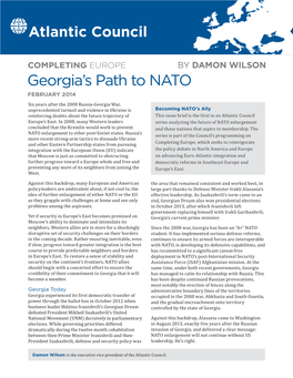 Georgia's Path to NATO