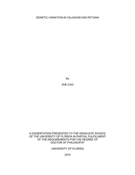 University of Florida Thesis Or Dissertation Formatting Template