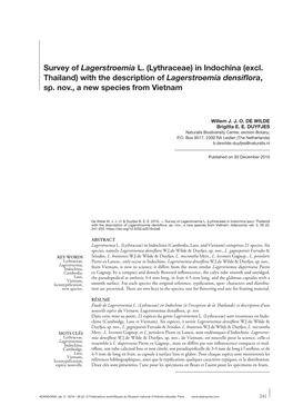 Survey of Lagerstroemia L. (Lythraceae) in Indochina (Excl